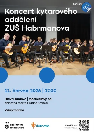 Kytarový koncert